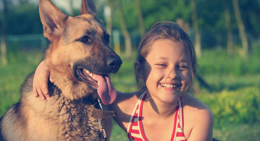 Are German Shepherds Good With Kids? - The Good German Shepherd