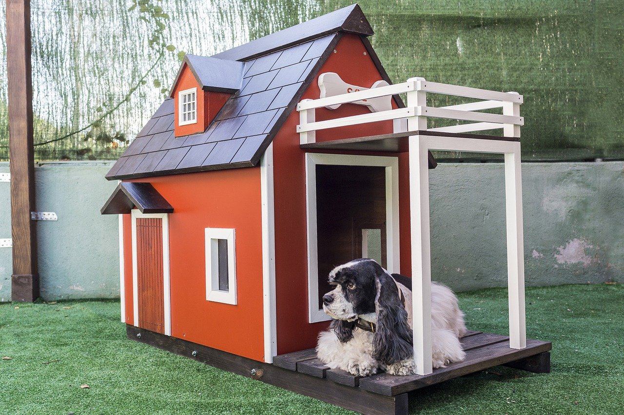 4 Best Climate Controlled Dog Kennel For Hot And Cold Weather To Buy In 2023 Review The Good