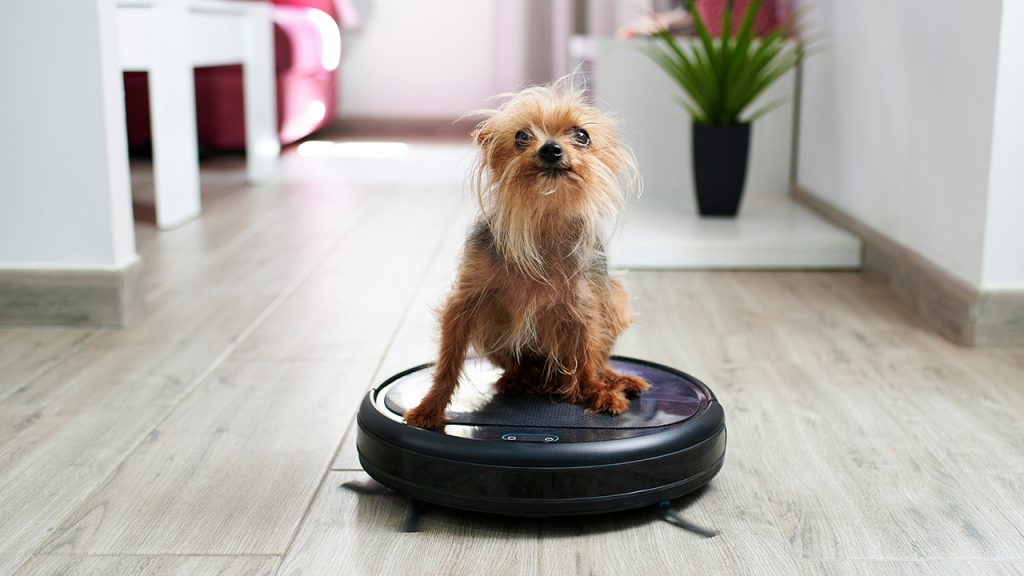 4 Best Robot Vacuum for German Shepherd Hair in 2023 (Review) The