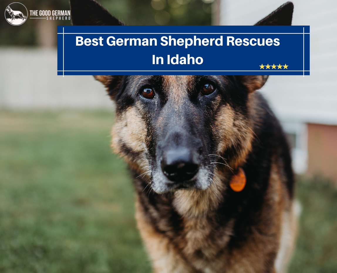 German Shepherd Rescues in Idaho
