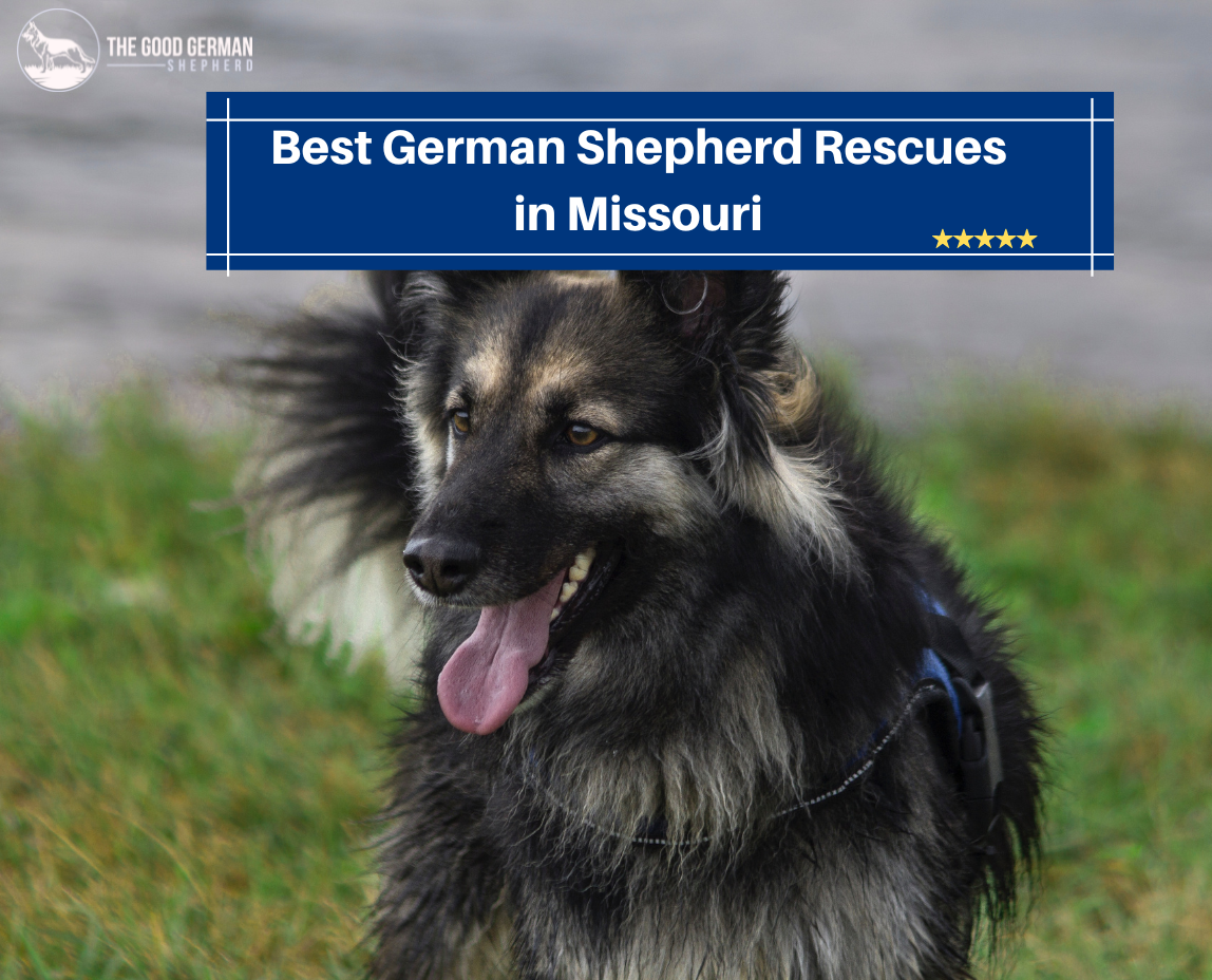 German Shepherd Rescues in Missouri