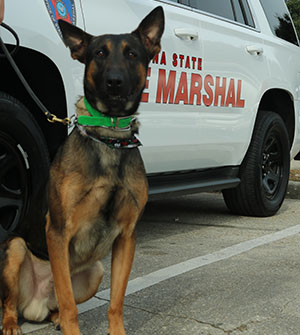 Louisiana State Animal Response Team